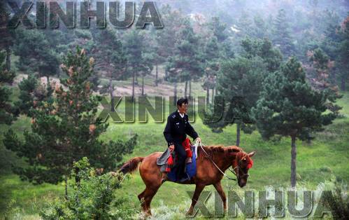 2.9%到34.6%：白沙上的彰武建成辽西绿色屏障