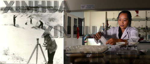 2.9%到34.6%：白沙上的彰武建成辽西绿色屏障