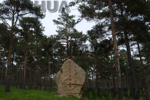 2.9%到34.6%：白沙上的彰武建成辽西绿色屏障