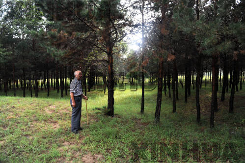 30载沙退林进的守望——记被造林“绑架”半生的屈长友