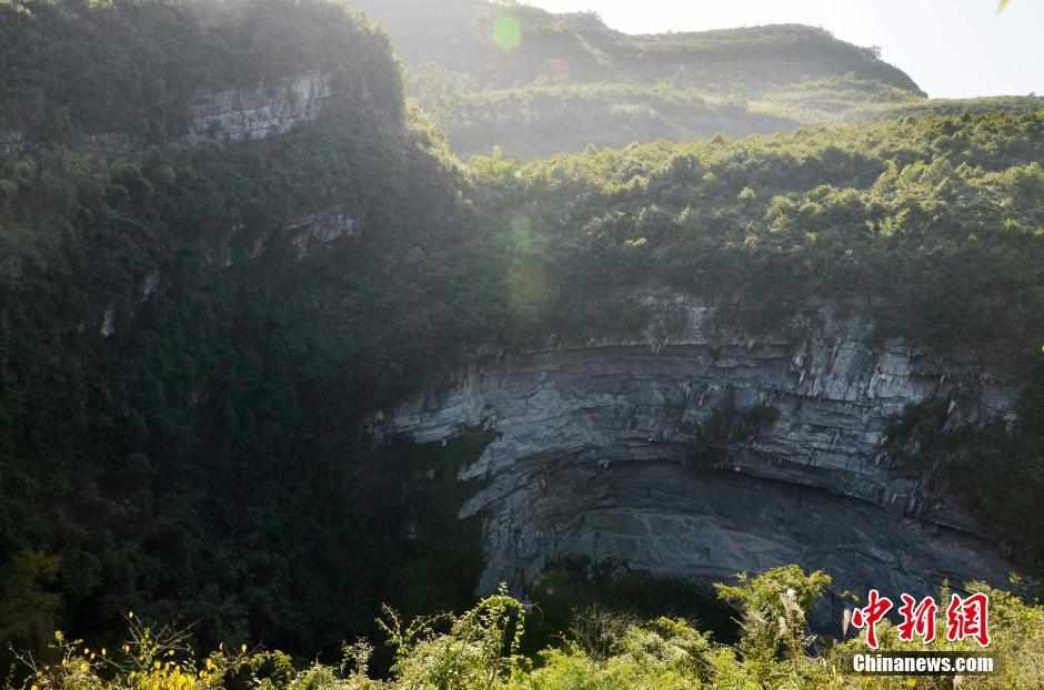 专家透露浙江可能在明年年初放开单独二胎