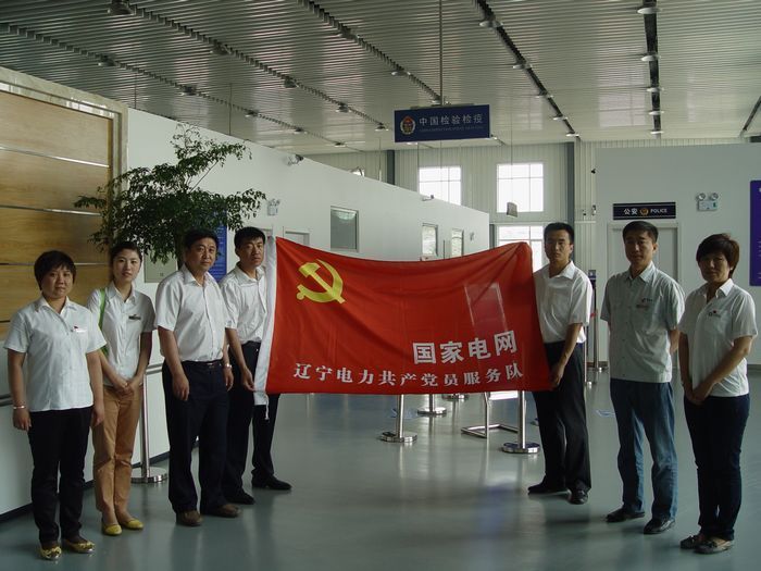 国网绿下的光明使者