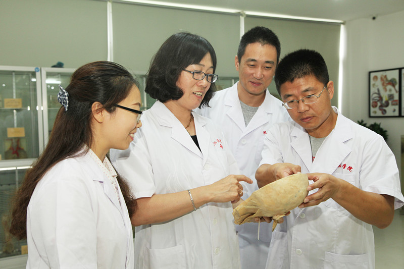 王效杰:敬业奉献 教书育人