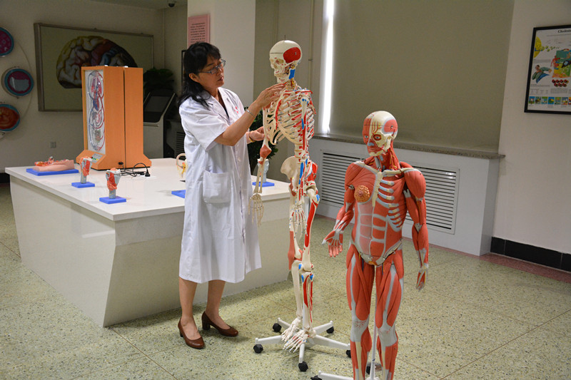 王效杰:敬业奉献 教书育人