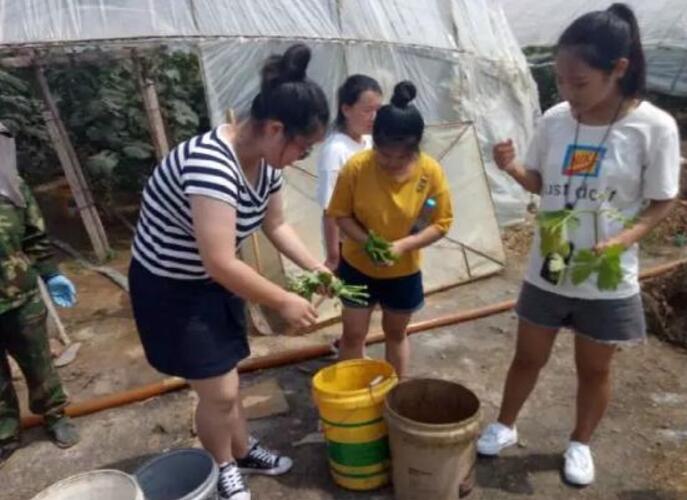 锦州医科大学护理学院开展暑期社会实践活动